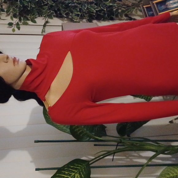 Willow Drive red blouse - Picture 6 of 8